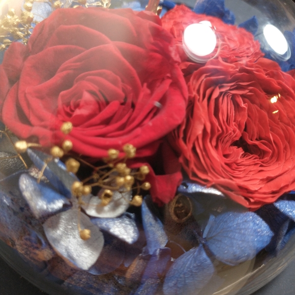 body and earth Jewerly Gift Box, Blue Color With red Roses Excellent Condition - Picture 12 of 13